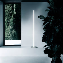 Load image into Gallery viewer, Coordinates Floor Lamp Floor Lamps FLOS 
