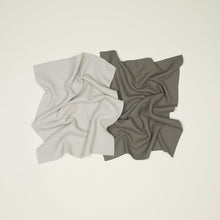 Load image into Gallery viewer, Essential Waffle Dish Towel, Set of 2 Dish Towels Hawkins New York Light Grey/Dark Grey 
