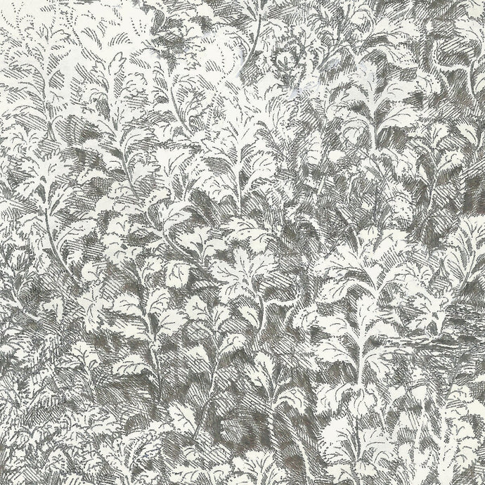 Brush Wallpaper Poppy 