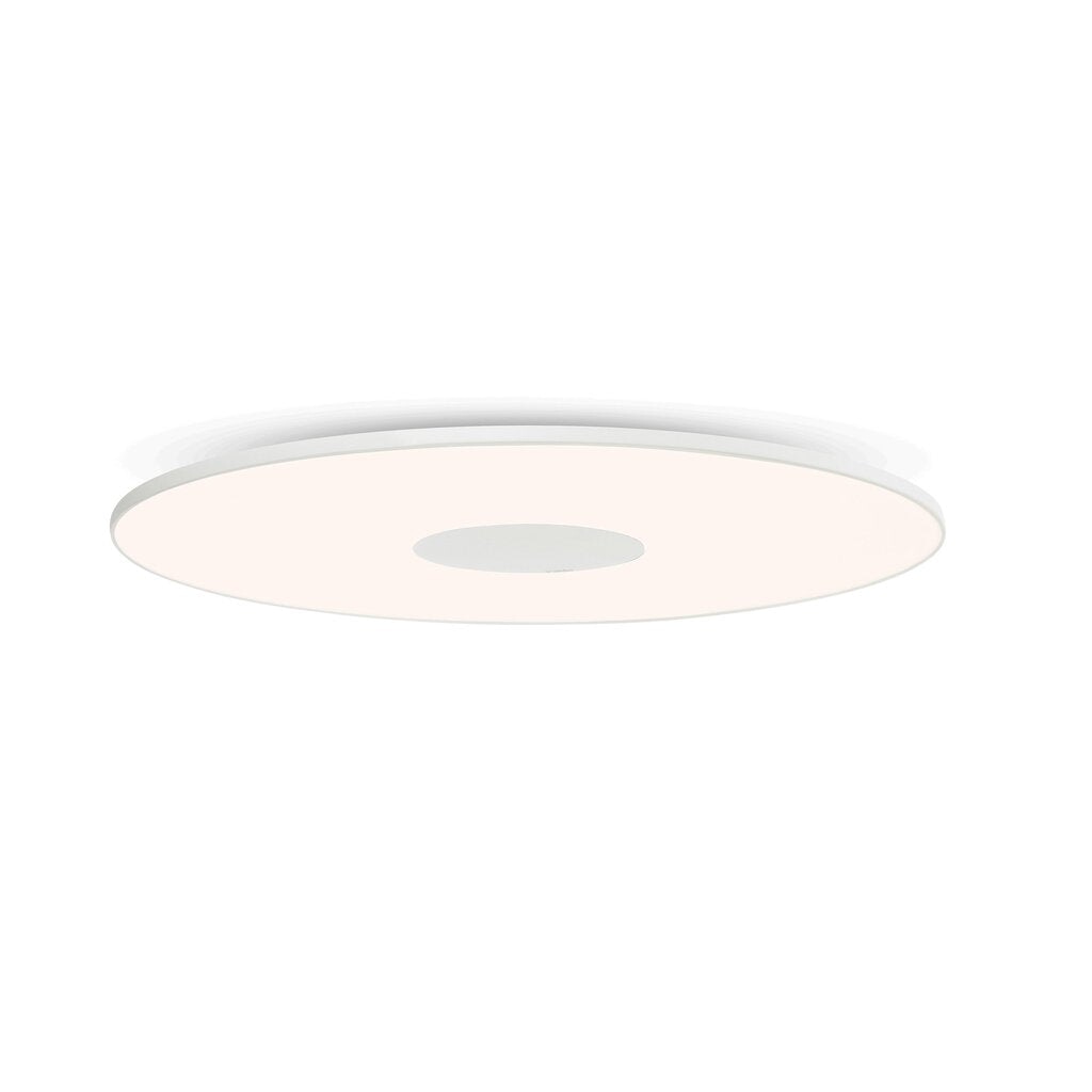 Circa Flush Wall + Ceiling Pablo Designs