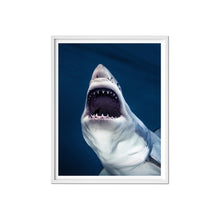 Load image into Gallery viewer, Michael Muller. Sharks, Art Edition No. 1–100 ‘Tear You Apart’ Books Taschen 

