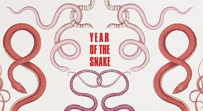 Year of the Snake