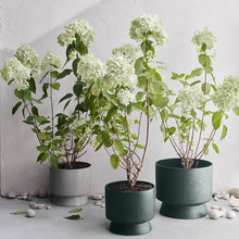 Load image into Gallery viewer, Recycled Flowerpot Indoor Planters &amp; Stands Rosendahl 
