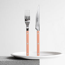 Load image into Gallery viewer, Bistrot Flatware Set of 20, Nude Pink Flatware Sets Sabre 
