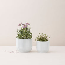 Load image into Gallery viewer, Lyngby Flowerpot Indoor Planters &amp; Stands Lyngby 
