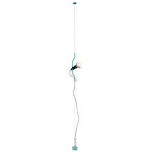 Load image into Gallery viewer, Parentesi Pendant Lamp Ceiling &amp; Pendant Lamps FLOS 50th Anniversary Turquoise 
