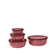 Load image into Gallery viewer, Cirqula Storage Box - Set of 4 Food Containers Mepal Mauve 
