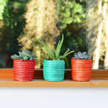 Load image into Gallery viewer, Succulent Basket Planter Planters Powered by People 
