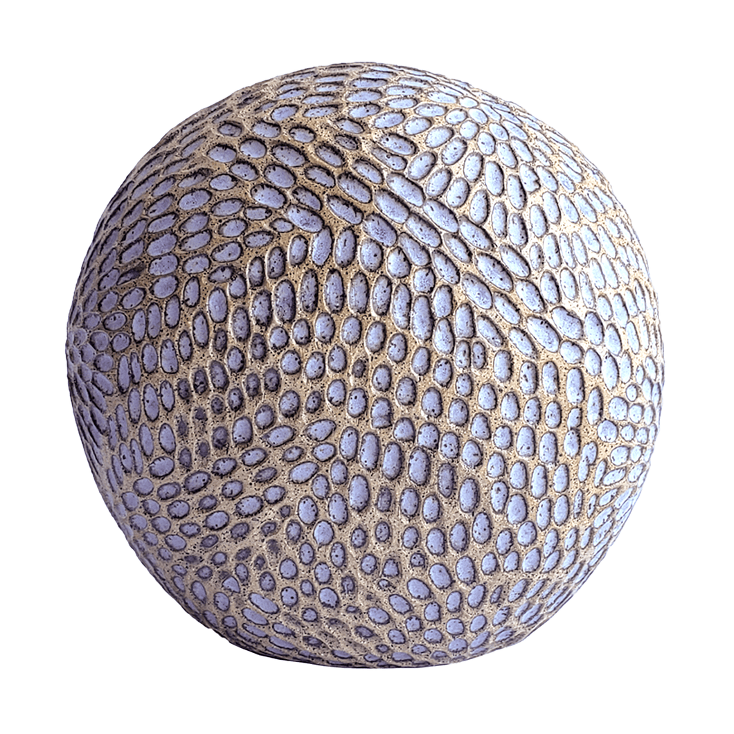 Seed Pod Sculpture Oval - Coastal Demetria Chappo 