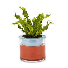 Load image into Gallery viewer, Wetpot Self-Watering Pot, Blue Indoor Planters &amp; Stands MoMA 
