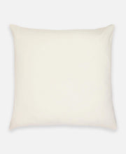 Load image into Gallery viewer, Multi-Check Throw Pillow Pillows Anchal Project 
