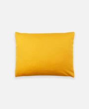 Load image into Gallery viewer, Small Graph Throw Pillow Pillows Anchal Project 
