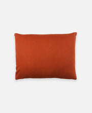 Load image into Gallery viewer, Small Graph Throw Pillow Pillows Anchal Project 
