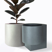 Load image into Gallery viewer, Platform Planter, Large Indoor Planters &amp; Stands Tortuga Forma 
