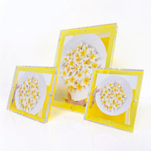 Load image into Gallery viewer, Snap Frame Picture Frames Alexandra Von Furstenberg Yellow 5x7 
