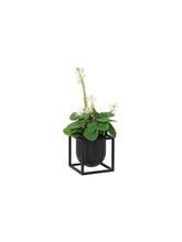 Load image into Gallery viewer, Kubus Flowerpot Flower Pot Menu 
