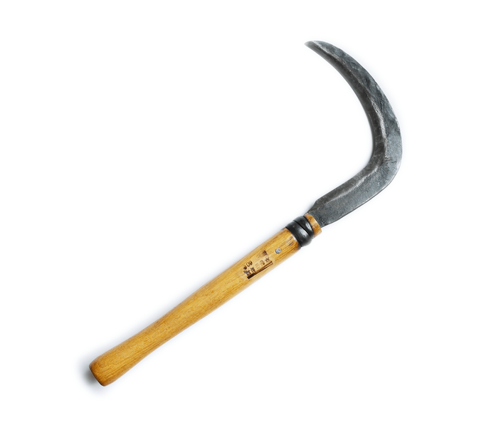 Side view of a long-handled sickle with a curved metal blade.