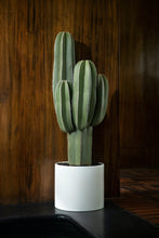 Load image into Gallery viewer, Model One Planters Monstruosus 
