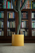Load image into Gallery viewer, Model One Planters Monstruosus 
