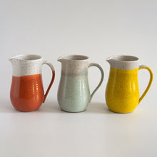 Load image into Gallery viewer, Large Pitcher Rachael Pots 
