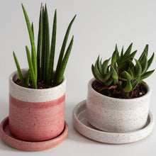 Load image into Gallery viewer, Succulent Planter Wide Rachael Pots 
