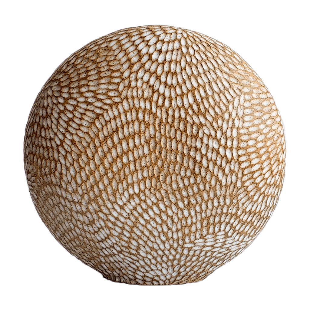 Seed Pod Sculpture Discus - White Gold Demetria Chappo 