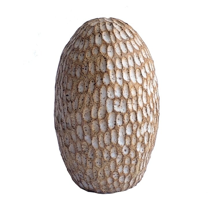 Seed Pod Sound Sculpture - Egg - White Gold Demetria Chappo 