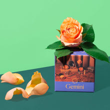 Load image into Gallery viewer, Gemini Mini Puzzle Piecework Puzzles 
