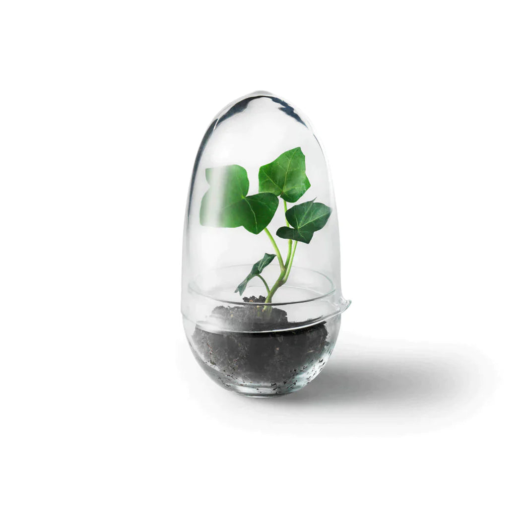 Grow Greenhouse Indoor Planters & Stands Design House Stockholm 
