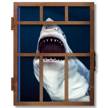 Load image into Gallery viewer, Sharks BOOKS Taschen 
