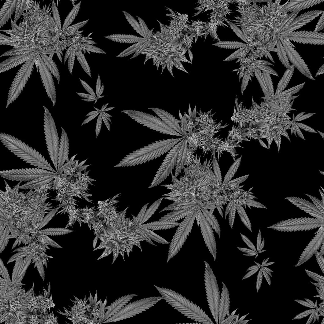 Indica Wallpaper Superflower Studio 