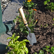 Load image into Gallery viewer, Image of a rough hewn garden trowel with wooden handle in loose dirt of a garden.
