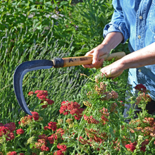 Load image into Gallery viewer, Person holding a long wooden handled sickle with curved blade over some flowers.
