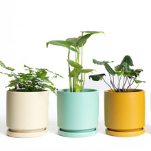 Load image into Gallery viewer, 8.25&quot; Cylinder Pot with Water Saucer INDOOR PLANTERS Momma Pots 
