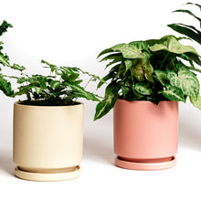 Load image into Gallery viewer, 10.25&quot; Cylinder Pot with Water Saucer INDOOR PLANTERS Momma Pots 
