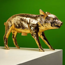 Load image into Gallery viewer, BANK IN THE FORM OF A PIG (Gold) reality products Harry Allen Design 
