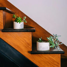 Load image into Gallery viewer, Vessels - Set of 2 INDOOR PLANTERS Pretti.Cool 
