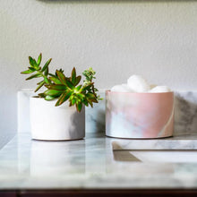 Load image into Gallery viewer, Vessels - Set of 2 INDOOR PLANTERS Pretti.Cool 
