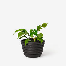 Load image into Gallery viewer, Racine Planter Pots &amp; Planters Areaware 
