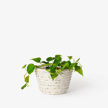 Load image into Gallery viewer, Racine Planter Pots &amp; Planters Areaware 
