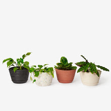 Load image into Gallery viewer, Racine Planter Pots &amp; Planters Areaware 
