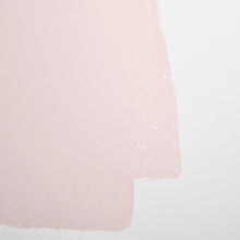 Load image into Gallery viewer, ROSE QUARTZ Paint Backdrop 
