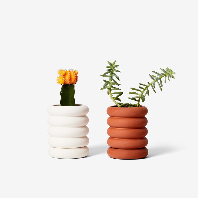 Stacking Planter Mini - Tall Pots & Planters Areaware 