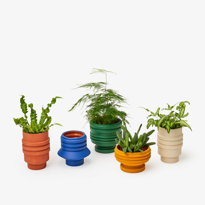 Strata Plant Vessel Indoor Planters & Stands Areaware 