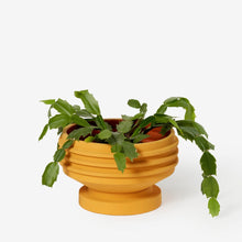 Load image into Gallery viewer, Strata Plant Vessel Indoor Planters &amp; Stands Areaware 
