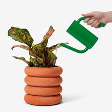 Load image into Gallery viewer, Tango Watering Can Areaware 
