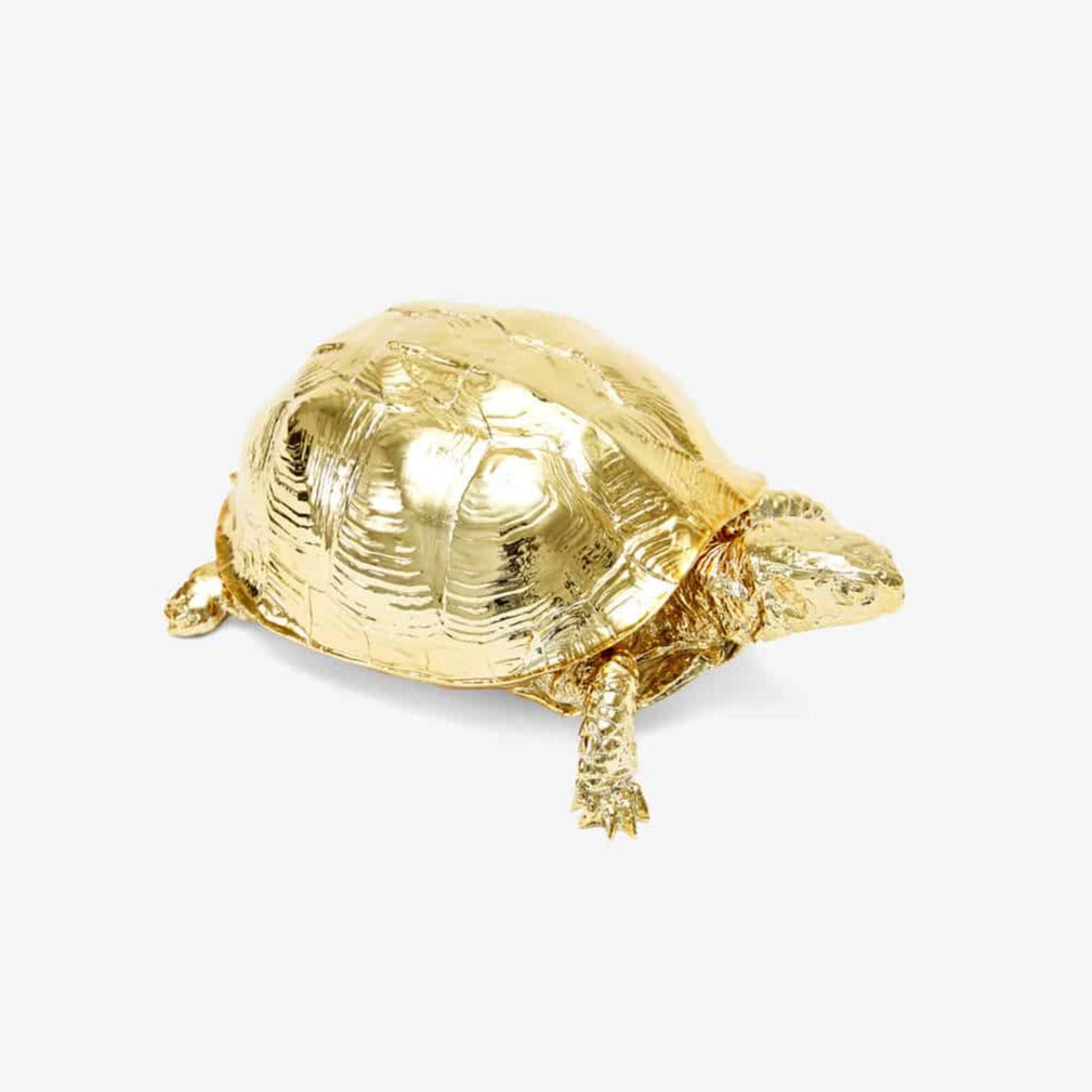 Turtle Box (Gold) turtle box Harry Allen Design 