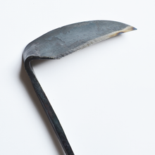 Load image into Gallery viewer, Close up view of a rough hewn metal blade on a thin stem.
