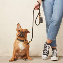 Load image into Gallery viewer, Collar Walk Set, Boho Mud Cloth Collars &amp; Leashes The Foggy Dog 

