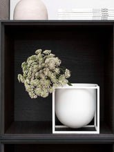 Load image into Gallery viewer, Kubus Flowerpot Flower Pot Menu 

